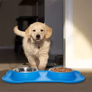 Beautiful Pet-Icon Double Stainless Steel Pet Bowl with Silicone Mat Pet store in Kigali