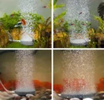 Best Bubble Disk Sintered Air Stone for fish tank aquarium in Kigali Rwanda