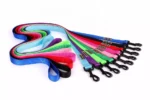 Quality Premier All Season Dog Leash in Rwanda