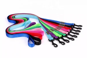 Quality Premier All Season Dog Leash in Rwanda