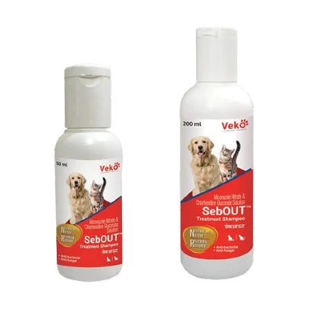 SebOut Treatment Shampoo for Dogs, Cats in Kigali Rwanda