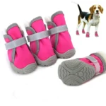 Sport Bootie Warm Dog Boots at Petsasa Rwanda