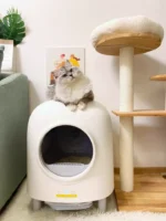 Best Petree Automatic Self Cleaning 2.0 Cat Litter Box pet store Kigali
