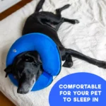 Comfortable Inflatable Recovery Collar for Cats & Dogs in Rwanda