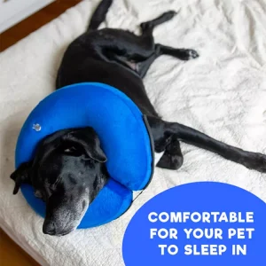 Comfortable Inflatable Recovery Collar for Cats & Dogs in Rwanda