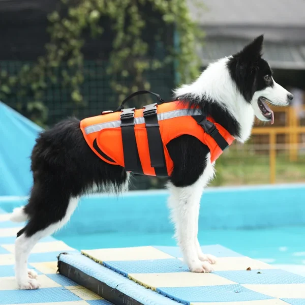 Floatation Swimwear Dog Life Jacket in Rwanda for Swimming and Service Dogs