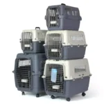 Best IATA Pet Crate Carrier Air Travel for Dogs & Cats in Rwanda