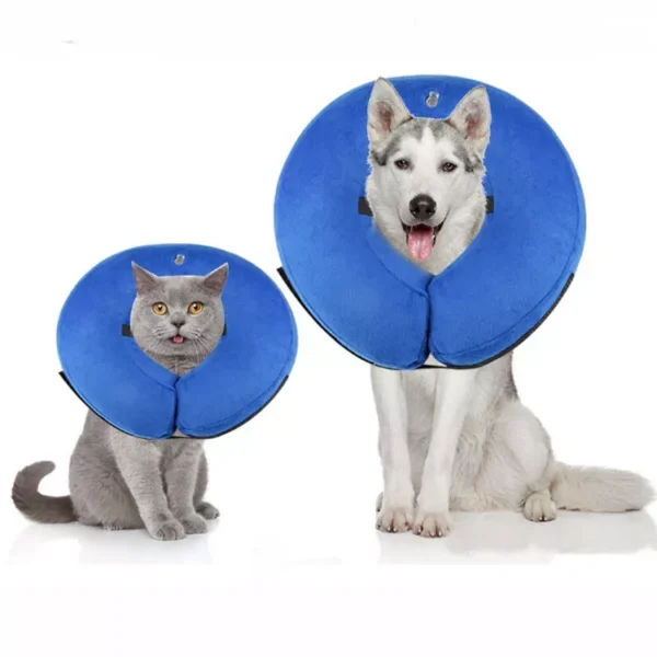 Inflatable Recovery Collar for Cats & Dogs in Rwanda