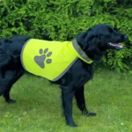 Quality UrbaDog Reflective Dog Safety Vest in Rwanda