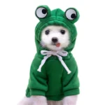 Toon Eyes Green Dog and Cat Hoodie in Rwanda