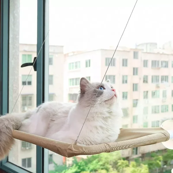 Window Mounted Cat Hammock Perch Bed in Rwanda