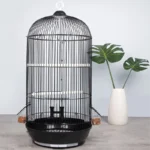 Buy Round Sonata Bird Cage at Petsasa Petstore Rwanda