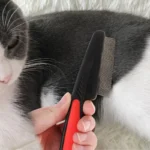 Pets Groomer's Lice and Flea Comb for Dogs & Cats in Rwanda