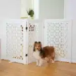Deco Circles Pattern Freestanding Foldable Wooden Dog Gate