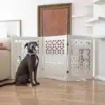 Large Deco Circles Pattern Freestanding Foldable Wooden Dog Gate