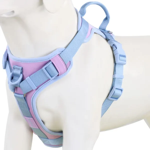 Blue Ice No Pull Front Clip Dog Harness at Petsasa kenya