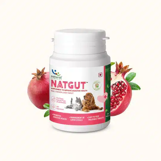 NATGUT Digestive Supplement For Dog & Cat at petsasa petstore kenya