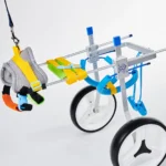 Using the Elite Mobilty Dog Wheelchair for Small, Medium & Large Dogs at Petsasa