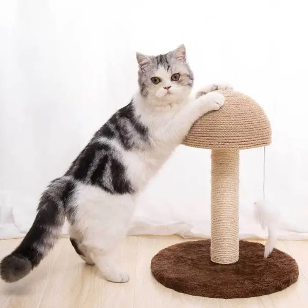 Buy Catco Mushroom Head Cat Scratching Post in Rwanda