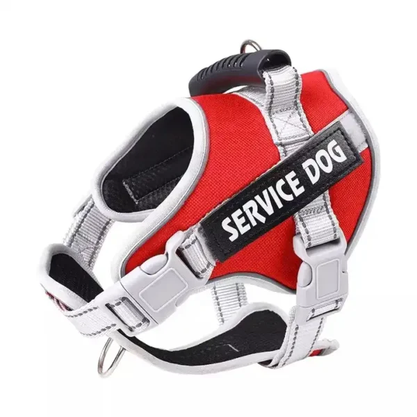 Reflective Service Dog Harness in Rwanda