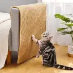 Catco Cat Scratcher Mat Sisal Furniture Cover Roll at Petsasa Rwanda