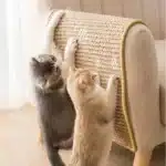Sisal Cat Playmat Bed Catco Cat Scratcher Mat