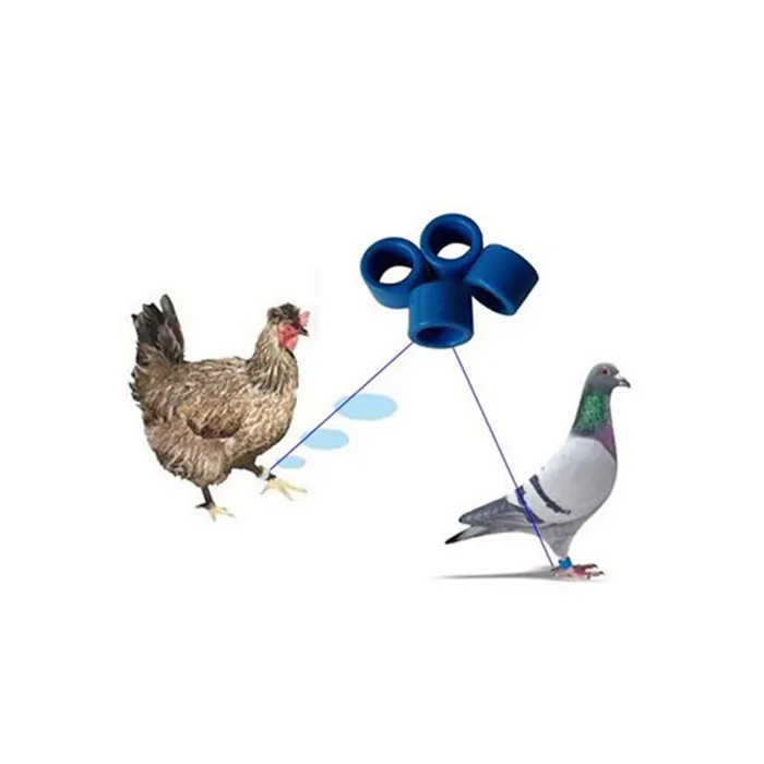 UHF RFID Foot Ring Bird Tag for Pigeon, Parrot in Rwanda