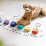 Voice Recording Button Pet Toys Dog Buttons for Communication Pet Training Buzzer Recordable Talking Button with Mat in Rwanda