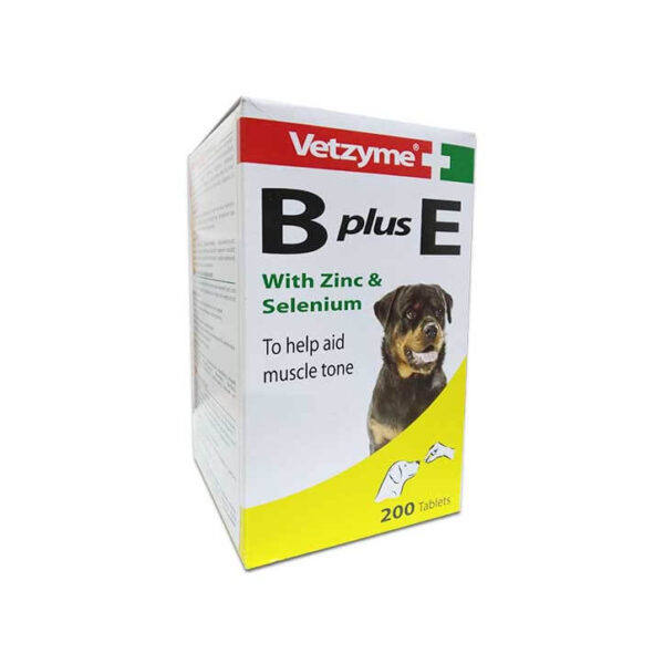 Vetzyme B plus E with Zinc & Selenium for Dog Muscle Toning in Rwanda