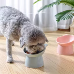 Oblique Wide Mouth Elevated Pet Bowl for Cats & Dogs - Image 2