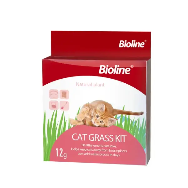 Bioline Natural Cat Grass Seed Growing Kit at Petsasa Rwanda