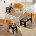 Raised 3-in-1 Adjustable Elevated Dog & Cat Bowl Petsasa