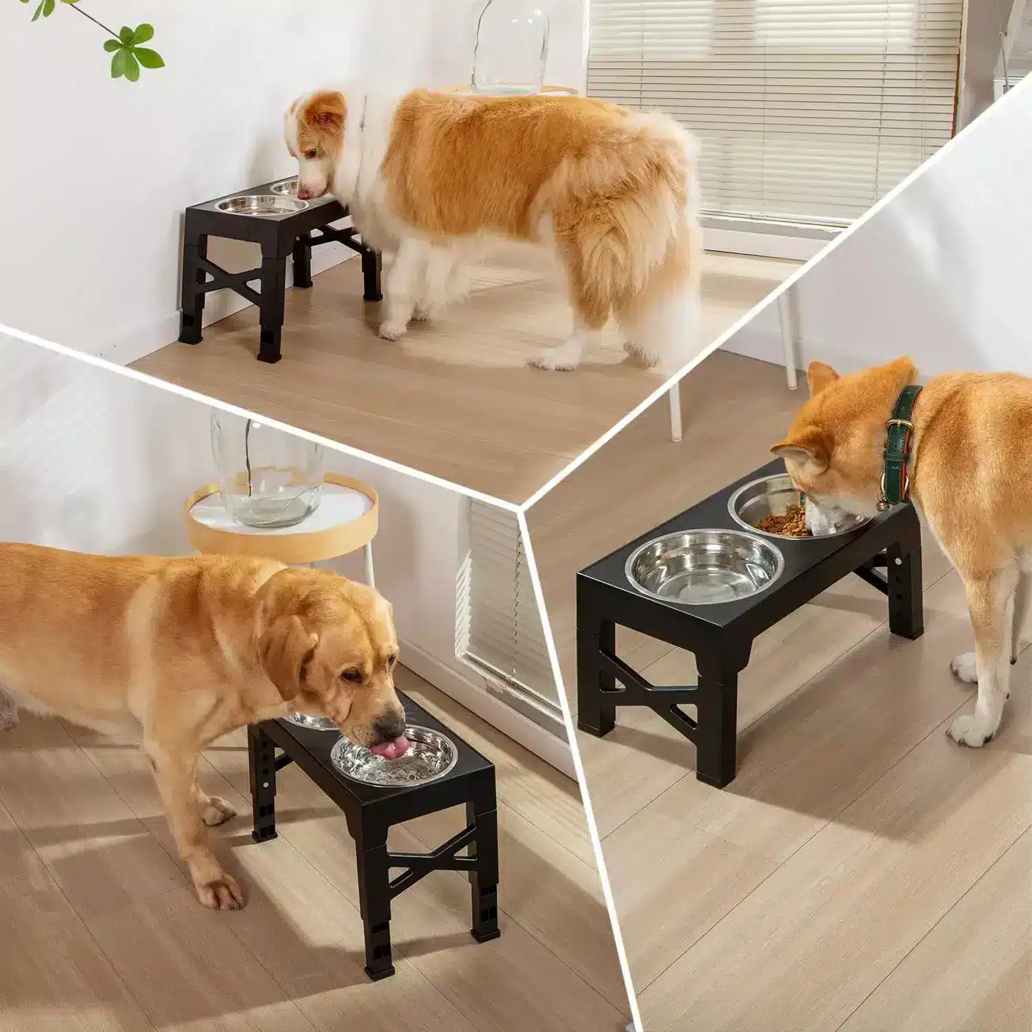 Raised 3-in-1 Adjustable Elevated Dog & Cat Bowl Petsasa