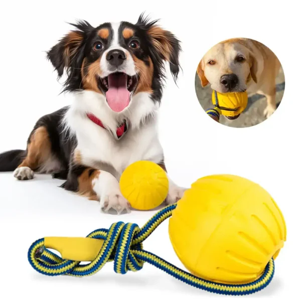 Swing & Fling Durafoam Ball on Rope Dog Toy fet Toys Rwanda